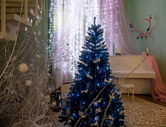 Новые туристические продукты презентовали в Благовещенске