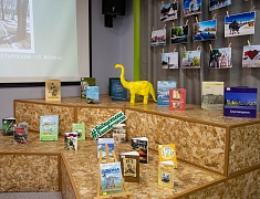 В библиотеке им. А.П. Чехова состоялась митап-сессия «Проекты, меняющие город к лучшему»