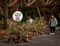  В Первомайском парке назвали лучшие работы в стиле лэнд-арт