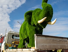 В Благовещенске появился новый арт-объект
