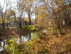 К общегородскому субботнику присоединились работники администрации Благовещенска