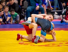 Открытое первенство Благовещенска по спортивной борьбе «VII Наследие ТРОИ»