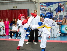 В Благовещенске состоялось открытие Чемпионата по Тхэквандо