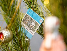 Новые туристические продукты презентовали в Благовещенске