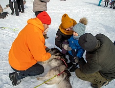 В Благовещенске прошла «Лыжня России»