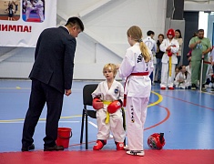 Почти три сотни спортсменов собрал турнир по тхэквондо в Благовещенске
