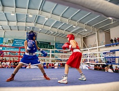 В спорткомплексе «Юность» стартовали соревнования по боксу среди юношей 13-14 лет