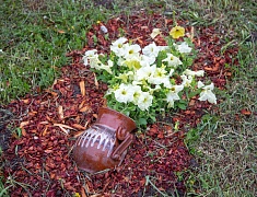 Фестиваль цветов «Город в цвете»