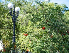 Мэр Олег Имамеев провел выездное совещание по обращениям граждан в сквере Кузнецова