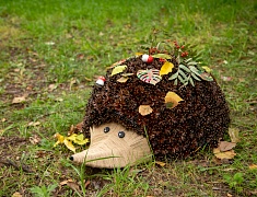  В Первомайском парке назвали лучшие работы в стиле лэнд-арт