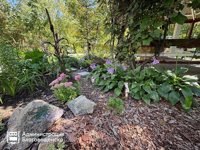 Создавая уют сообща: как жители дома на Кузнечной, 85 в Благовещенске и управляющая компания превратили двор в цветущий сад