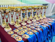 В Благовещенске прошли соревнования по вольной борьбе памяти Героя России Ивана Цевуна