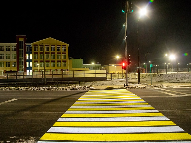 За безопасностью у самой большой школы на Дальнем Востоке «следит» необычная «зебра»