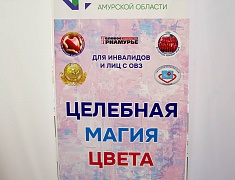 В Амурском медколледже прошел мастер-класс по рисованию для участников проекта «Целебная магия цвета»