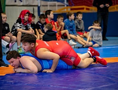 Столица Приамурья стала площадкой для соревнования по вольной борьбе