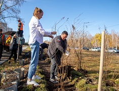 К общегородскому субботнику присоединились работники администрации Благовещенска