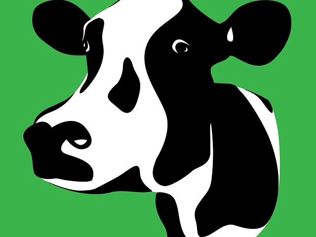 О недопустимости сокрытия фактов заболевания и падежа животных напоминают благовещенцам