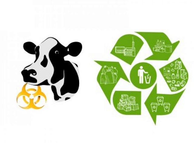 Для горожан подготовили памятку о правильном захоронении биологических отходов