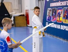 Фестиваль единоборств «Знамя Победы»