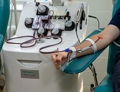 Сотрудники администрации Благовещенска стали донорами