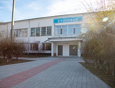 Мэр Благовещенска провел рабочую встречу по благоустройству улицы Горького