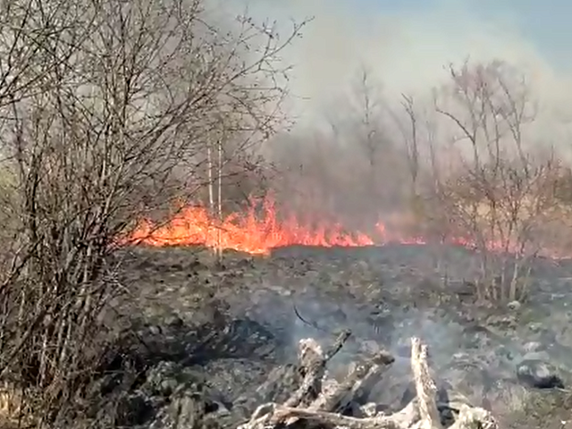 Благовещенцам в преддверии пожароопасного периода напоминают о правилах безопасности