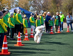 Сто юных благовещенцев с особенностями здоровья пробежали марафон