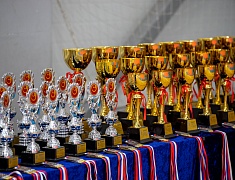 Благовещенские каратисты сразились в честь 100-летия Масутацу Ояма