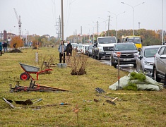 Аллею из сирени в 1,5 километра высадили в отдаленном районе Благовещенска