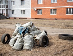 Мэр Благовещенска Олег Имамеев вместе с фан-клубом города очистил еще одну городскую территорию