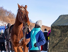 Благовещенская «Лыжня России-2026» собрала более трех тысяч человек