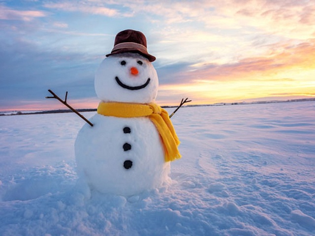 Молодым семьям Благовещенска предлагают слепить снеговика