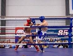 Фестиваль единоборств «Знамя Победы»