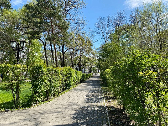 Обновить сквер в центре города или в микрорайоне? Какую территорию благовещенцы выберут для благоустройства