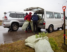 Аллею из сирени в 1,5 километра высадили в отдаленном районе Благовещенска