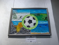 В Благовещенске подвели итоги проекта «Спорт в искусстве»