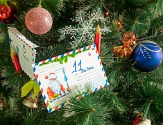 Заместители мэра Благовещенска присоединились к акции «Елка желаний»