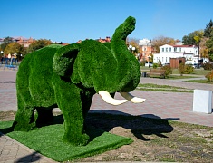 В Благовещенске появился новый арт-объект