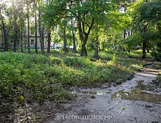 Мэр Благовещенска Олег Имамеев выслушал предложения горожан по благоустройству сквера водников