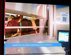 Отчет губернатора за пять лет