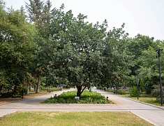 «Гостеприимный город для всех» стартовал в Благовещенске 