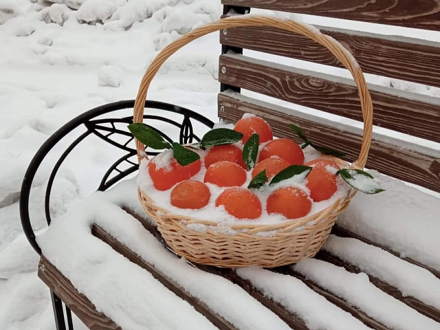 Почта Деда Мороза и живая ель: Жители благовещенских дворов готовятся к Новому  году