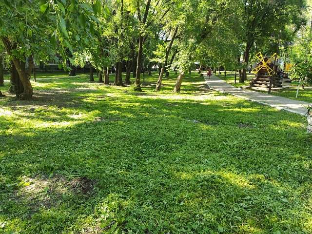 Газоны Благовещенска «засияли» после активных выходных!