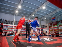 Чемпионат и первенство Амурской области по муай-тай прошли в Благовещенске