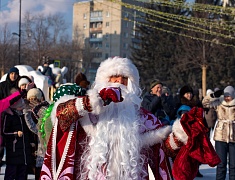 В Благовещенске подвели итоги конкурса снегозавров