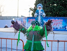 В Благовещенске подвели итоги конкурса снегозавров