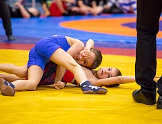 Открытое первенство Благовещенска по спортивной борьбе «VII Наследие ТРОИ»