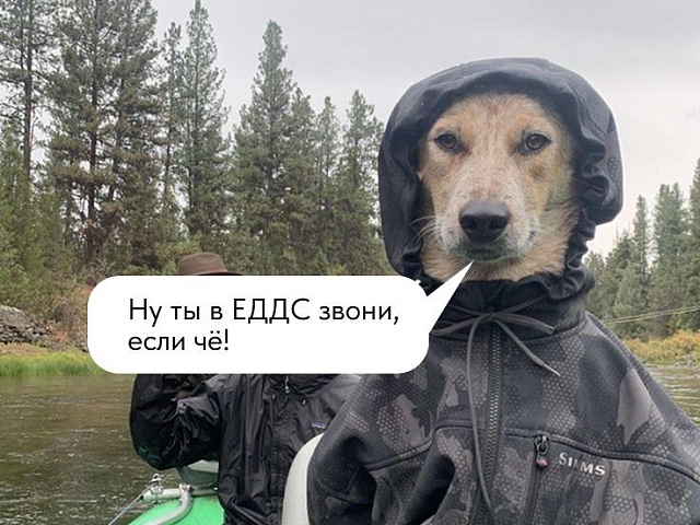 Автоматические помпы и вакуумные машины: как Благовещенск встретит приближающийся циклон? 