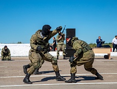 Более 4 с половиной тысяч благовещенцев отметили День государственного флага