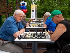 В Первомайском парке Благовещенска появилась шахматная площадка